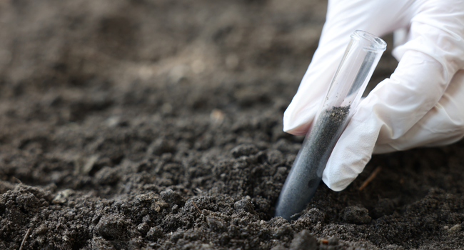technical services soil investigations